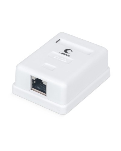 WS-8P8C-Cat.5e-SH-1 (7485c): Розетка RJ-45 в Химках