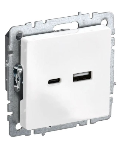 Розетка USB A+C 18Вт РЮ11-1-БрБ белый BRITE (BR-U22-018-K01). Розетка USB. IEK в Химках