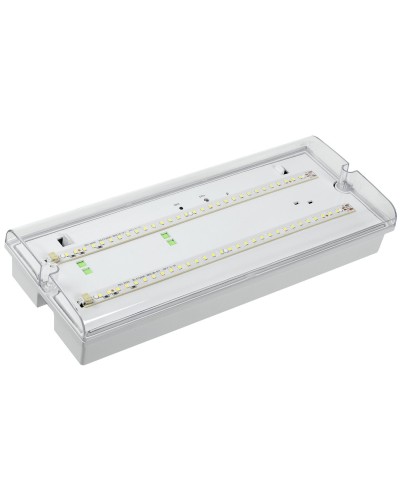 Светильник аварийный ДПА 5042-1 1ч IP65 LIGHTING (LDPA0-5042-1-65-K01). Светильник аварийный универсальный. IEK в Химках