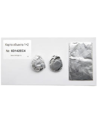 Карта объекта 1+2. Проксимити карта. IronLogic в Химках