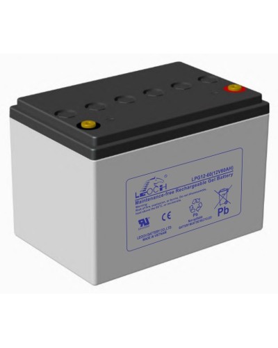 LEOCH LPG 12-60. Аккумулятор герметичный свинцово-кислотный. LEOCH в Химках