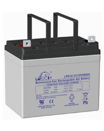 LEOCH LPG 12-31. Аккумулятор герметичный свинцово-кислотный. LEOCH в Химках