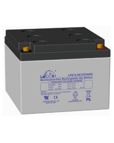 LEOCH LPG 12-24. Аккумулятор герметичный свинцово-кислотный. LEOCH в Химках