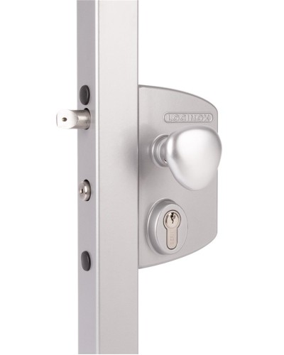 LIKQ4040 U2L (цвет: RAL 9005, черный). Замок электромеханический для калиток. Locinox в Химках