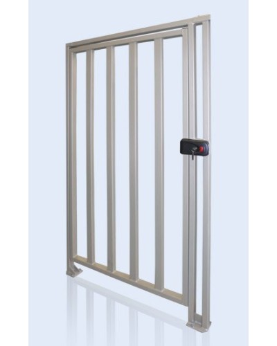 PERCo-WHD-15. Калитка. PERCo в Химках