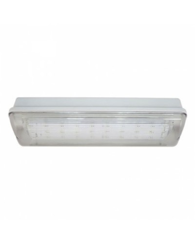 SL-213-30LED1.8 исп.1 IP54. Светильник аварийного освещения. ИП Раченков А.В. в Химках