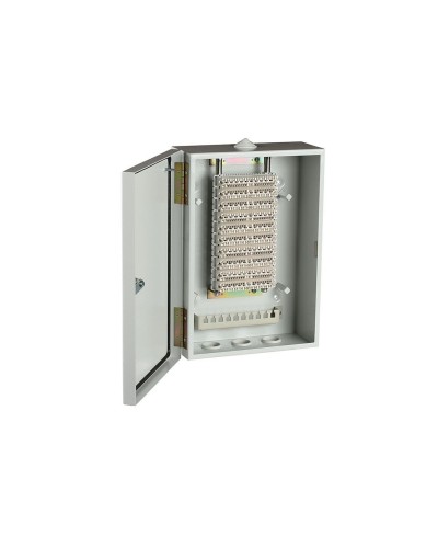 ШРН-В/100-Р (120908-00122). Шкаф ШРН-В/100-Р, плинт ПВТ-10Р-5е. ССД (Связьстройдеталь) в Химках